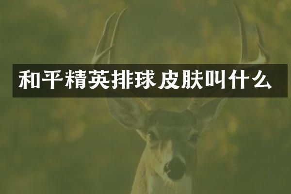 和平精英排球皮肤叫什么