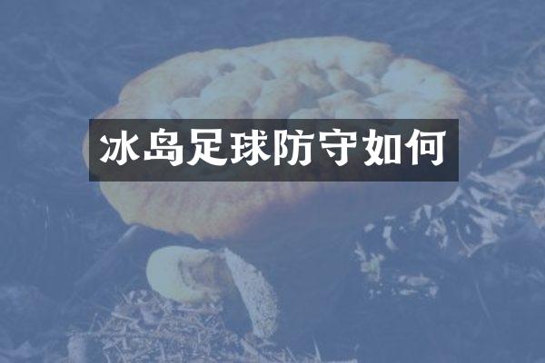 冰岛足球防守如何