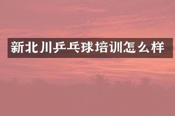 新北川乒乓球培训怎么样
