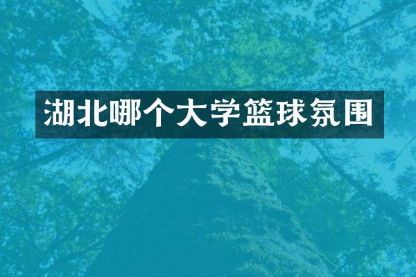 湖北哪个大学篮球氛围