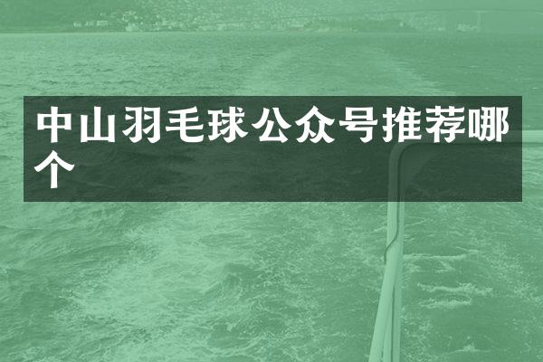 中山羽毛球公众号推荐哪个