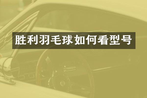 胜利羽毛球如何看型号