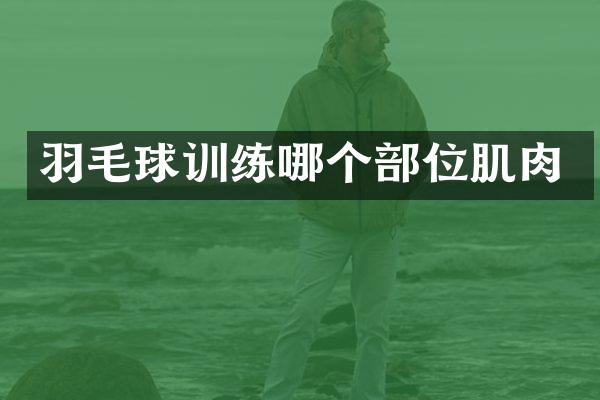 羽毛球训练哪个部位肌肉
