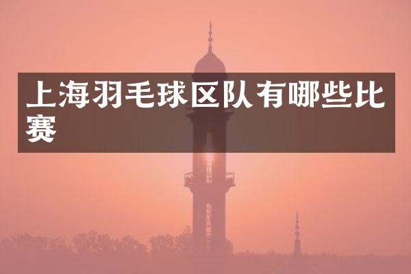 上海羽毛球区队有哪些比赛