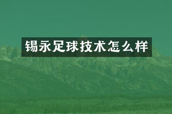 锡永足球技术怎么样