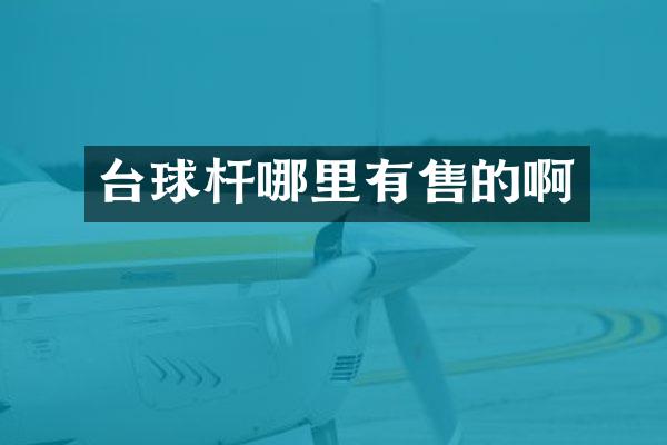台球杆哪里有售的啊