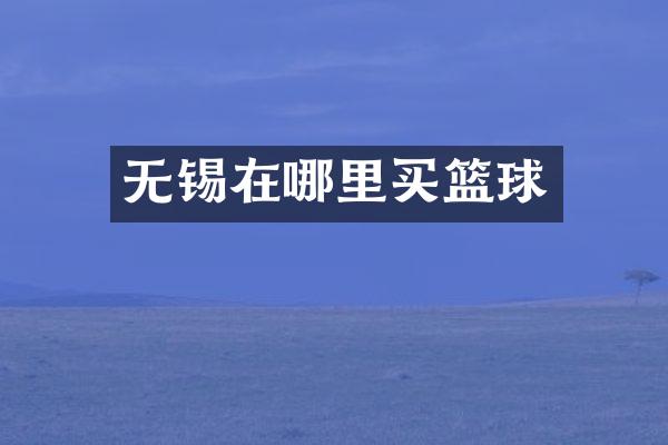 无锡在哪里买篮球