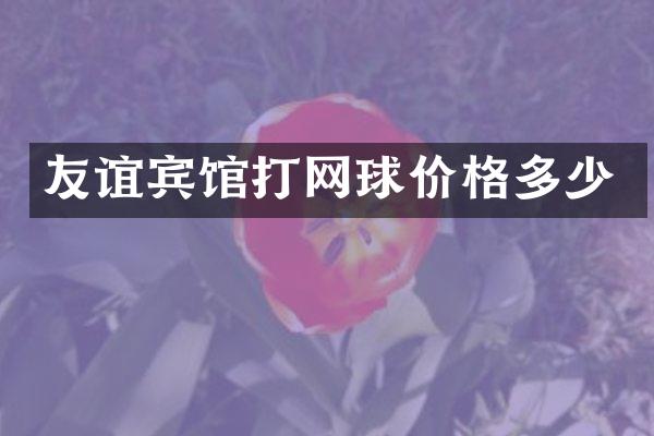 友谊宾馆打网球价格多少