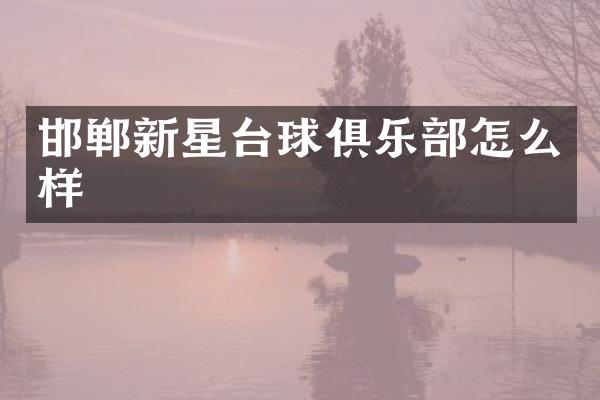 邯郸新星台球俱乐部怎么样