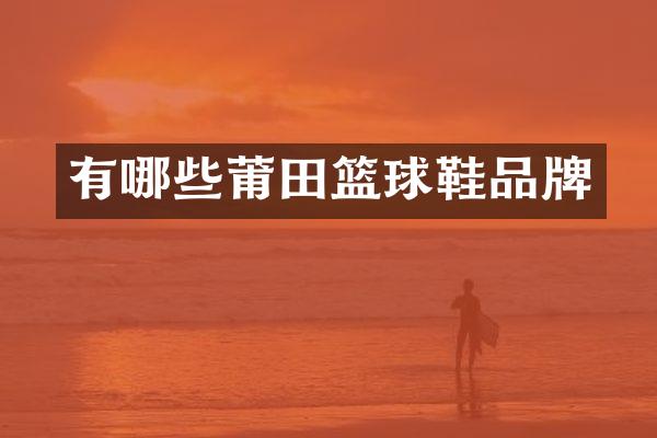 有哪些莆田篮球鞋品牌