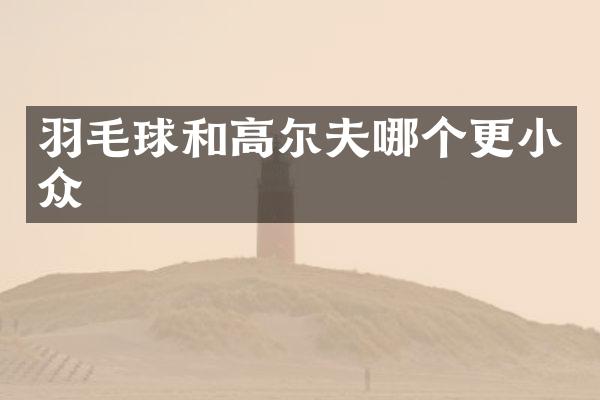 羽毛球和高尔夫哪个更小众