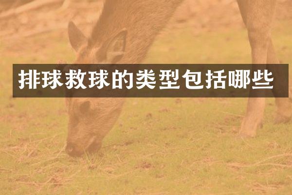 排球救球的类型包括哪些