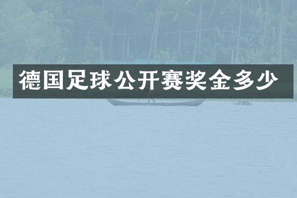 德国足球公开赛奖金多少