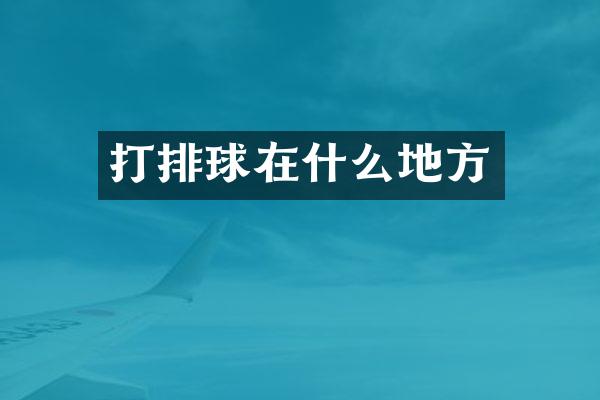 打排球在什么地方
