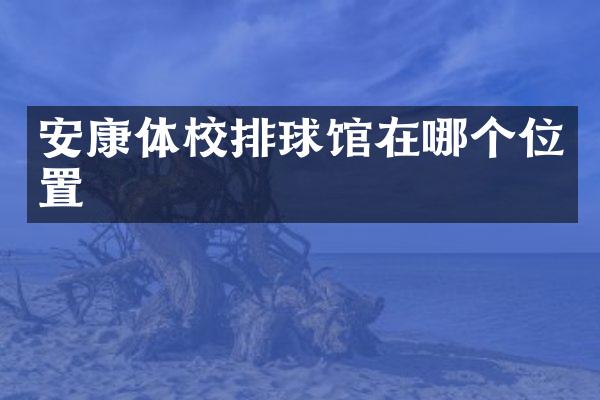 安康体校排球馆在哪个位置