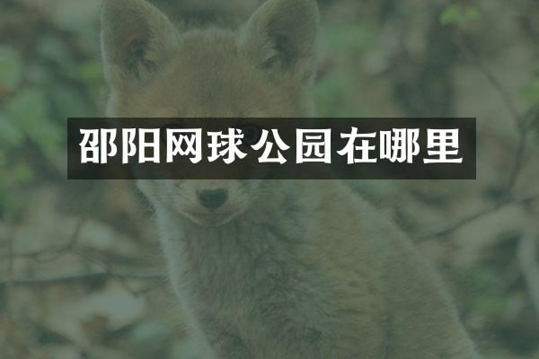 邵阳网球公园在哪里