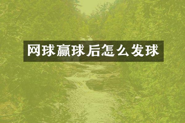 网球赢球后怎么发球