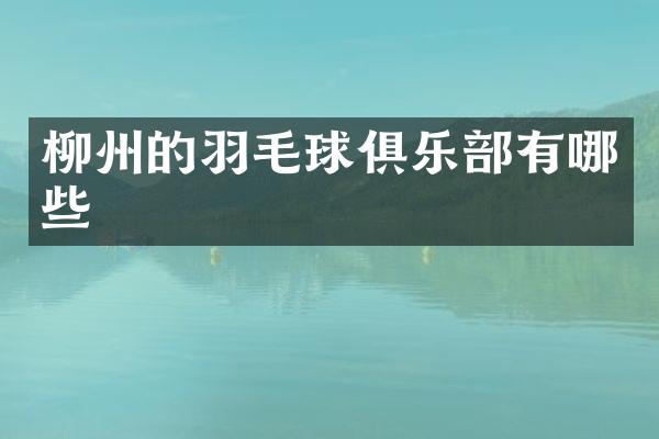 柳州的羽毛球俱乐部有哪些
