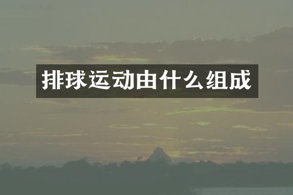 排球运动由什么组成