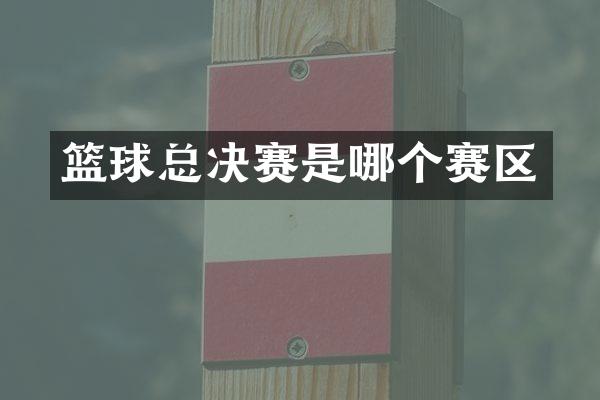 篮球总决赛是哪个赛区