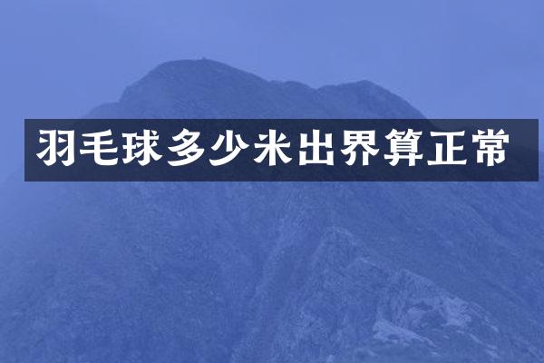 羽毛球多少米出界算正常