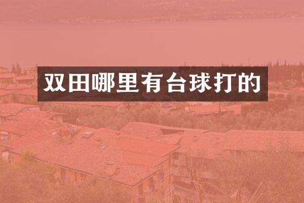 双田哪里有台球打的