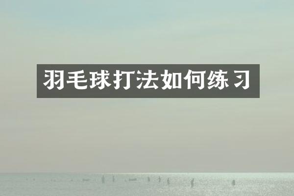 羽毛球打法如何练习