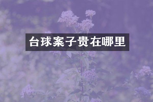 台球案子贵在哪里