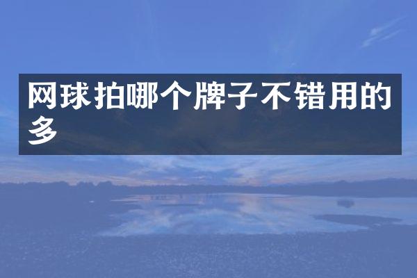 网球拍哪个牌子不错用的多