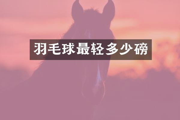 羽毛球最轻多少磅