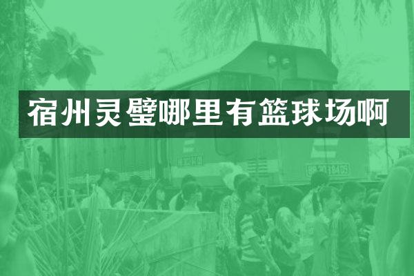 宿州灵璧哪里有篮球场啊