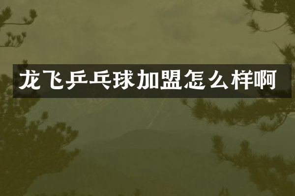龙飞乒乓球加盟怎么样啊