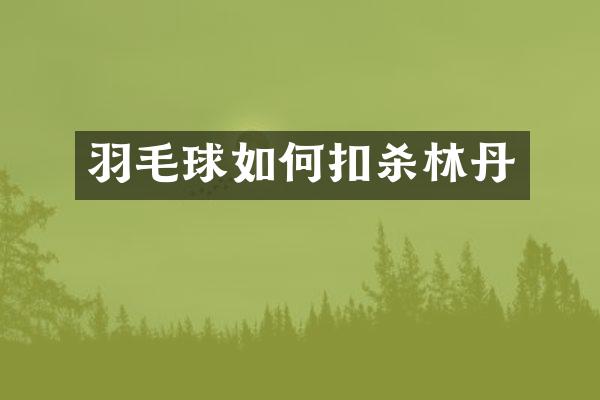 羽毛球如何扣杀林丹