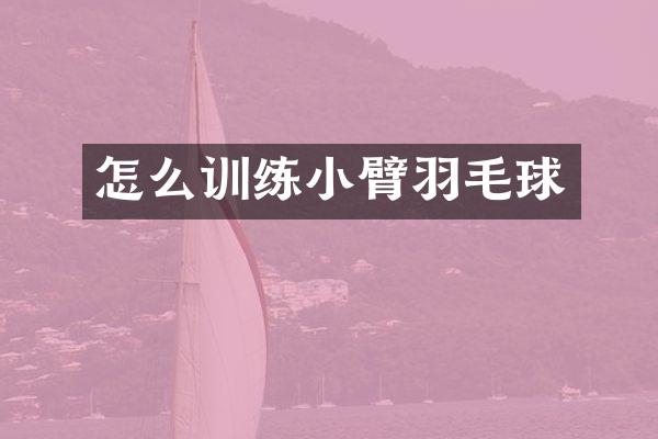 怎么训练小臂羽毛球