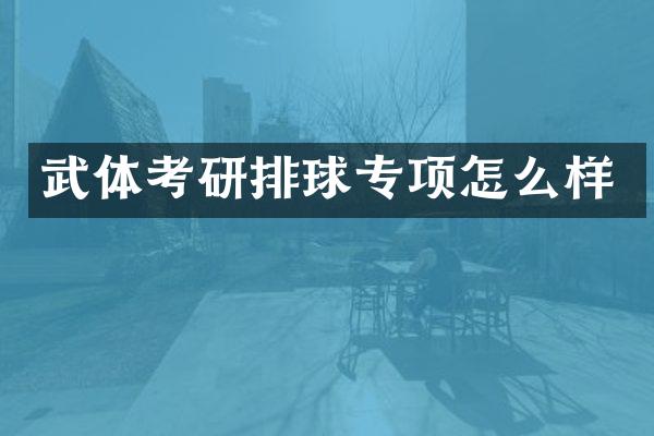 武体考研排球专项怎么样