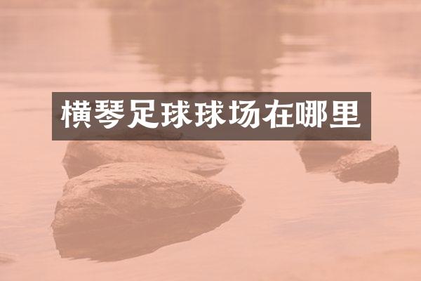横琴足球球场在哪里