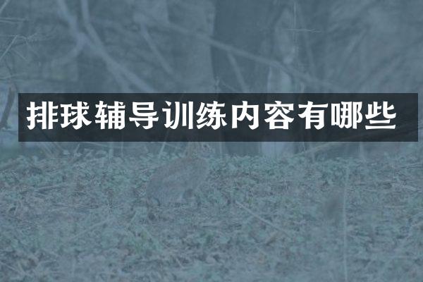 排球辅导训练内容有哪些