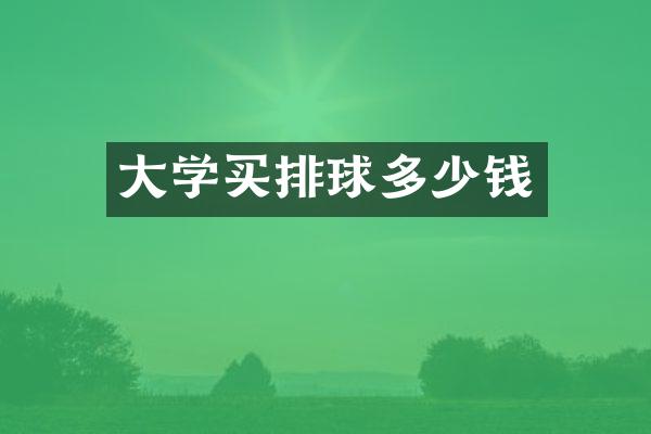 大学买排球多少钱
