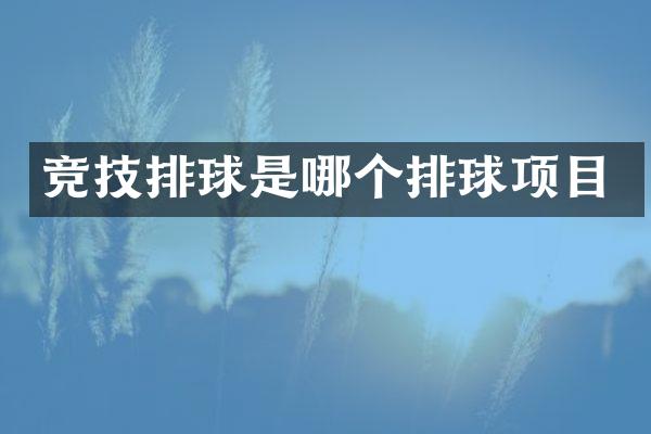 竞技排球是哪个排球项目