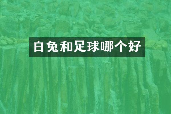 白兔和足球哪个好