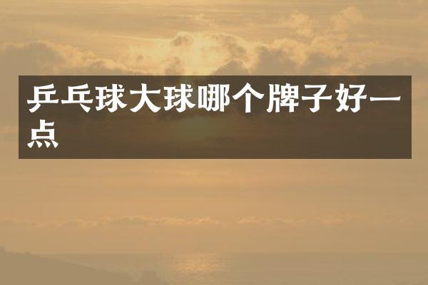 乒乓球大球哪个牌子好一点