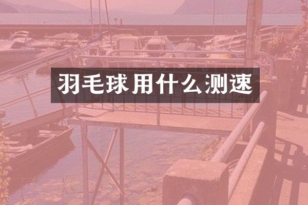 羽毛球用什么测速