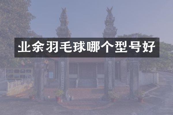 业余羽毛球哪个型号好