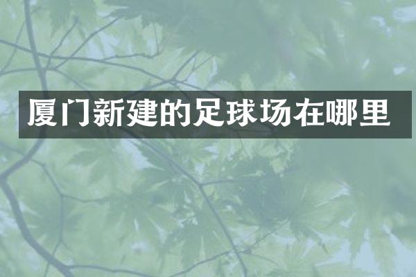 厦门新建的足球场在哪里