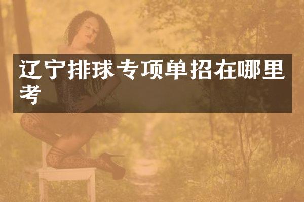 辽宁排球专项单招在哪里考