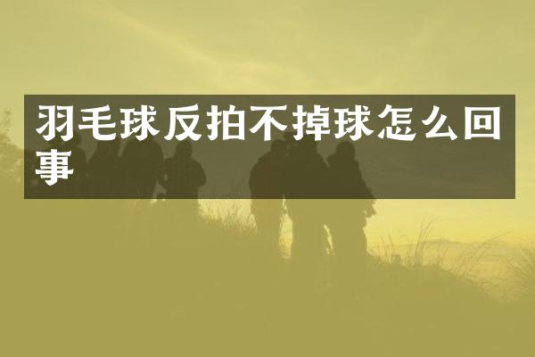 羽毛球反拍不掉球怎么回事