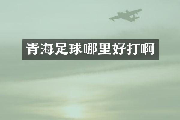 青海足球哪里好打啊