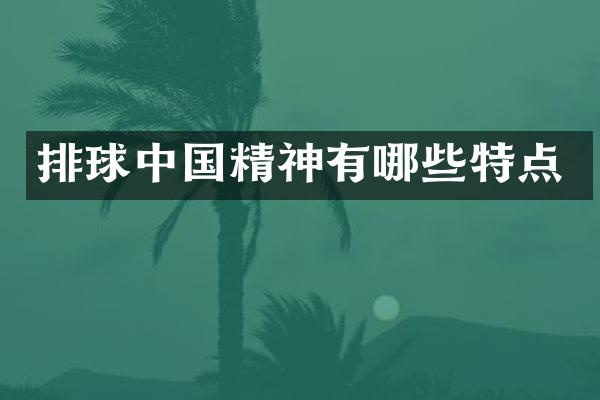 排球中国精神有哪些特点