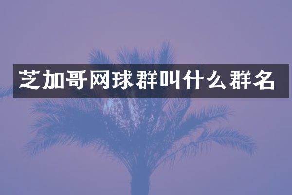 芝加哥网球群叫什么群名