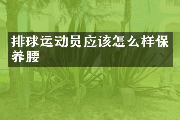 排球运动员应该怎么样保养腰